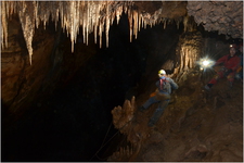 Thumbnail of photo from this article